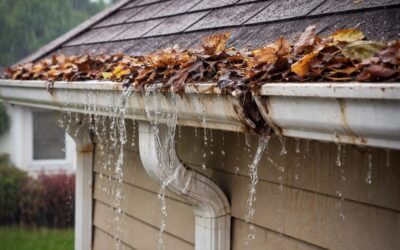 Bad Things That Happen When You Ignore Leaking Gutters